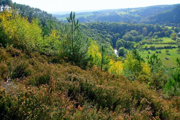 Saut a lelastique sarthe