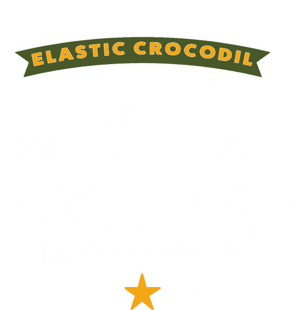 logo transparent 1 600x633