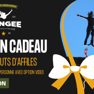 Bon cadeau saut a lelastique lyon 768x545