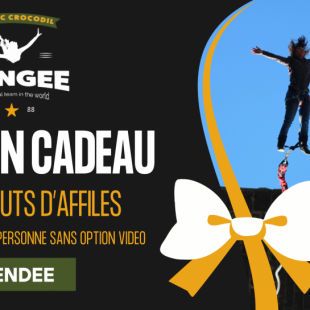 Bon cadeau saut a lelastique vendee 768x545