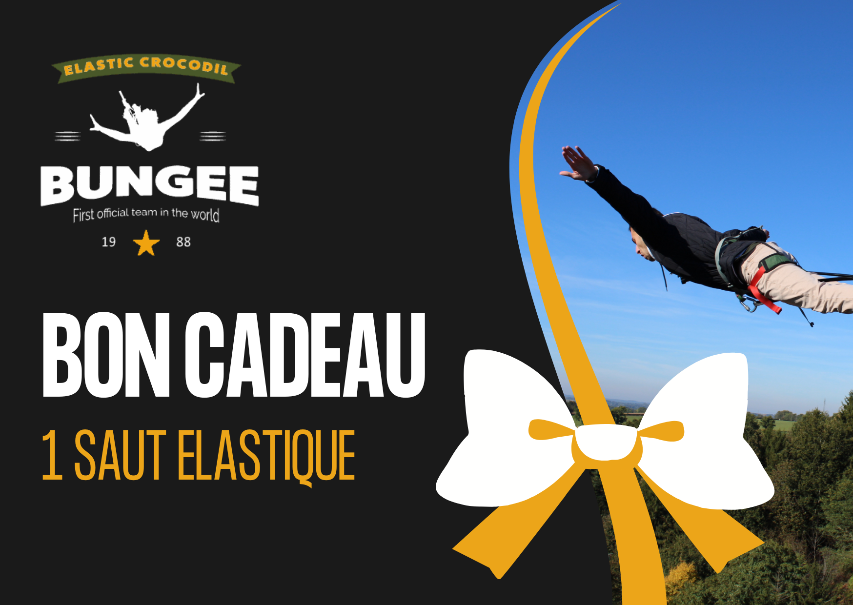 bon cadeau saut a lelastique lyon ardeche vendee pyrenees