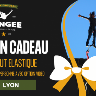 bon cadeau saut elastique lyon rhones alpes 69 768x545