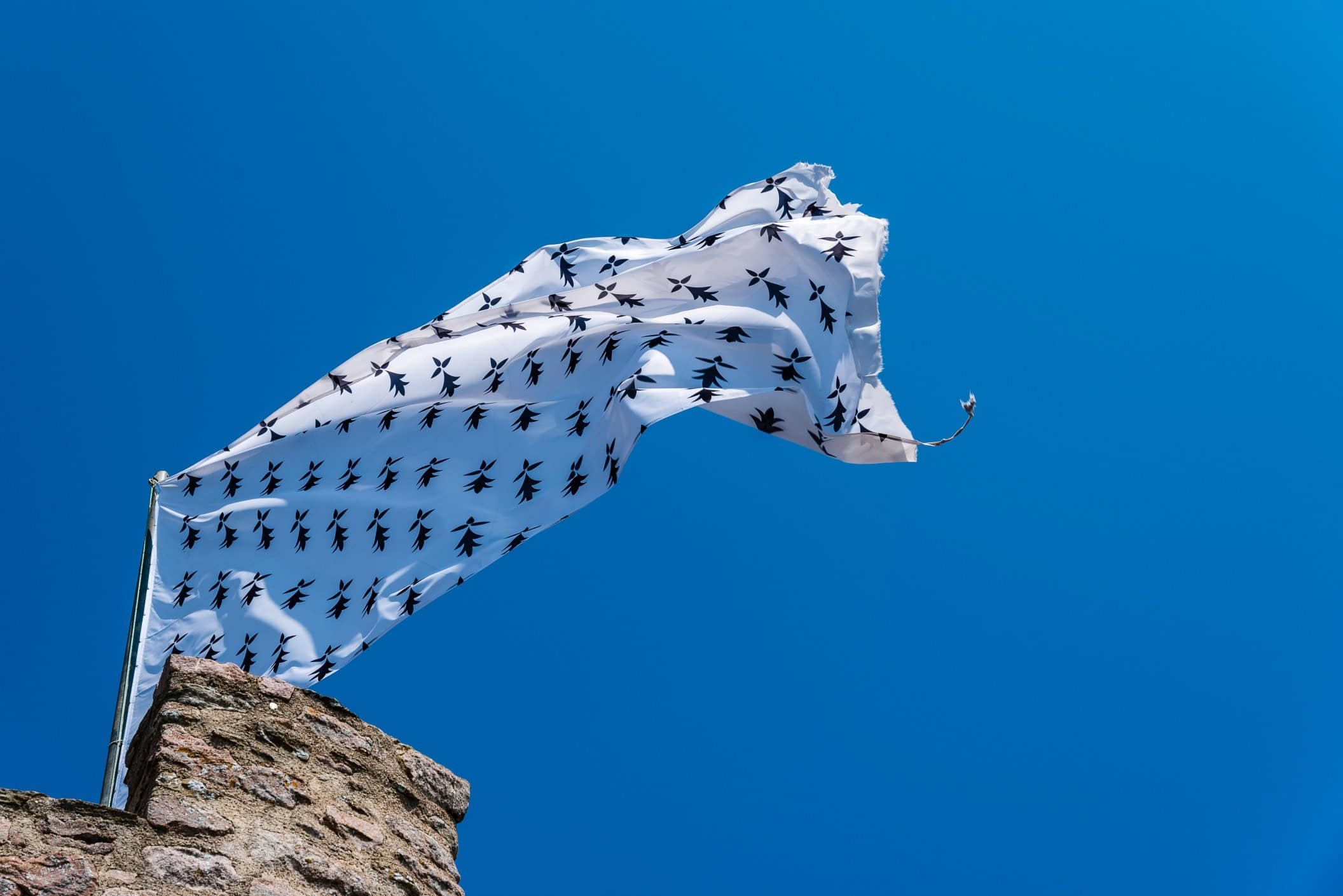 saut a lelastique bretagne 29 saut a lelastique en bretagne prix saut a lelastique bretagne saut a lelastique bretagne