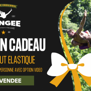 saut elastique vendee viaduc coquilleau avec video 768x545