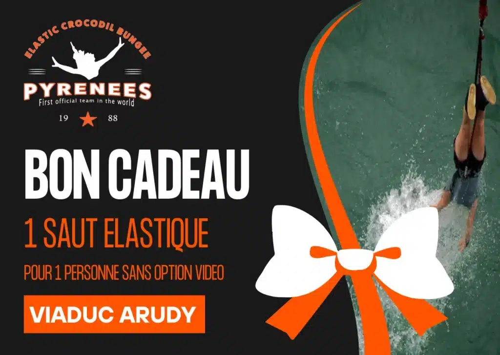 Bon cadeau saut élastique Arudy Pau pour 1 personne