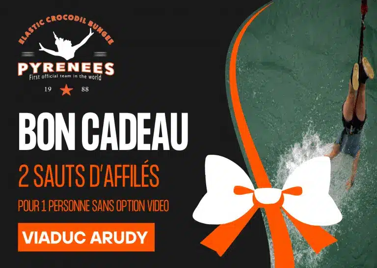 bon cadeau saut elastique pau VIADUC ARUDY 2 sauts daffiles sans OPTION VIDEO.png 1